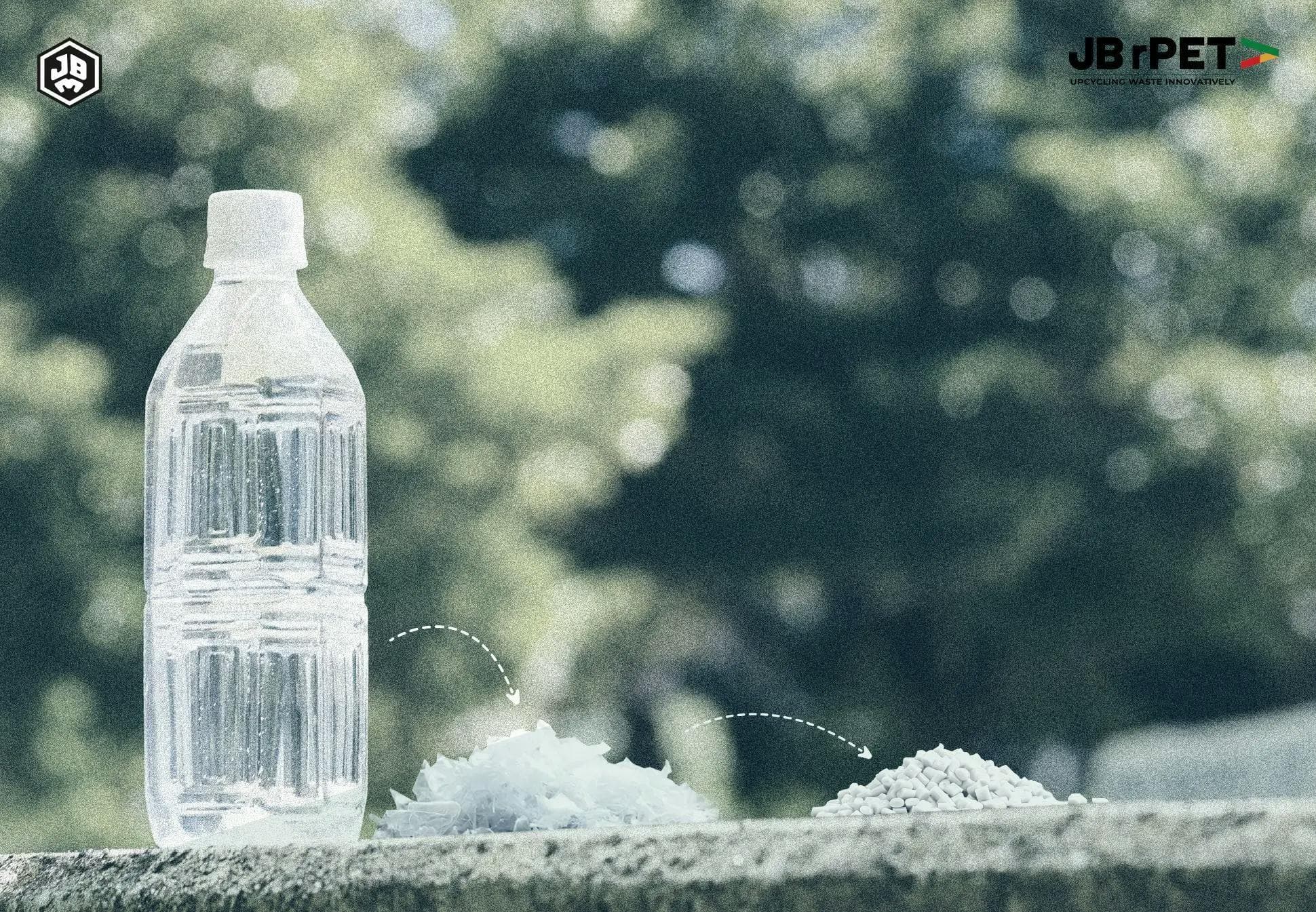 The Economics of Recycling: How rPET Adds Value to the Supply Chain