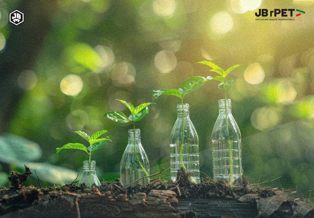 The future of plastic recycling: trends and predictions