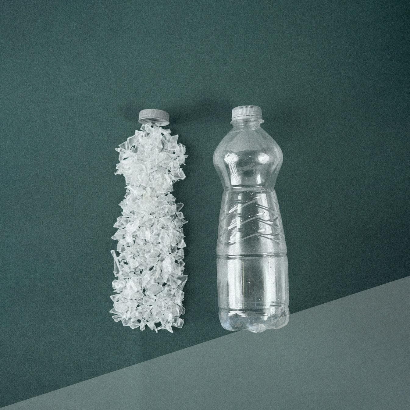 pet bottle to flakes