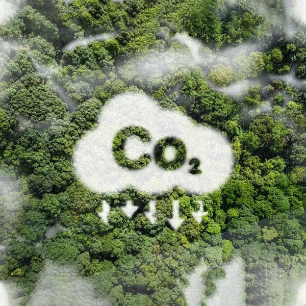 carbon reduction