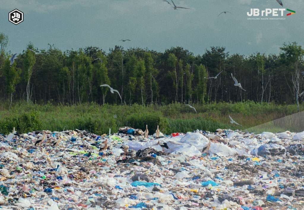Recycling Decoded: Answering FAQs on How Plastic Waste Becomes a Resource