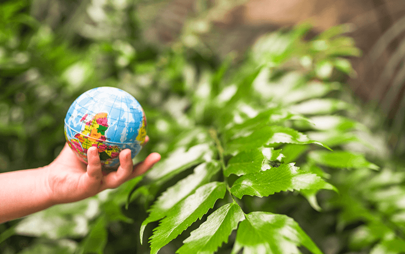 Environmental Impact of Chemical PET Recycling