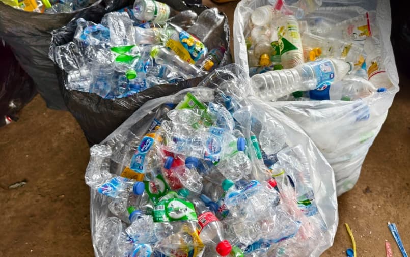 Large collection bags filled with used plastic bottles for recycling